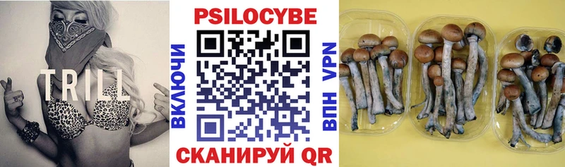 Галлюциногенные грибы мухоморы Киренск