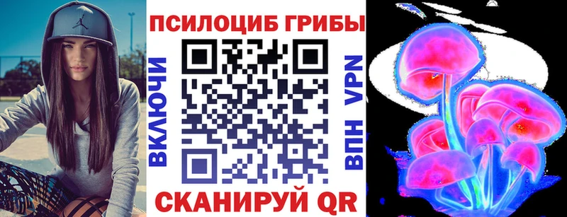 где продают наркотики  Киренск  сайты даркнета как зайти  Псилоцибиновые грибы MAGIC MUSHROOMS 